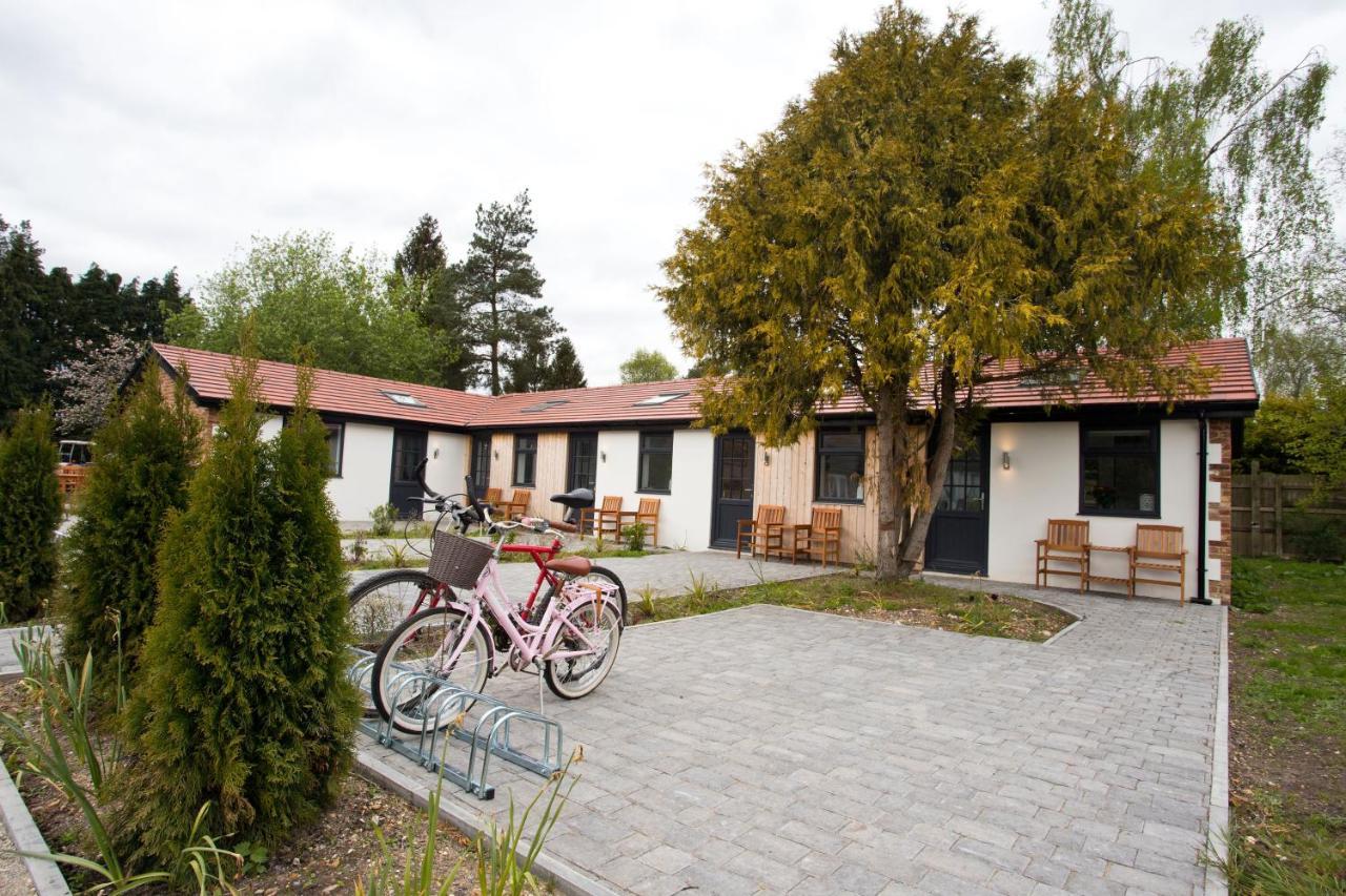 The Bearded Goat Den - A Rural Retreat At This Modern Holiday Cottage Saint Leonards Exteriér fotografie